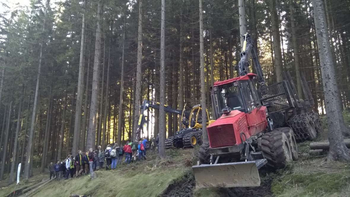 Traktor mit Schülerinnen und Schüler im Wald