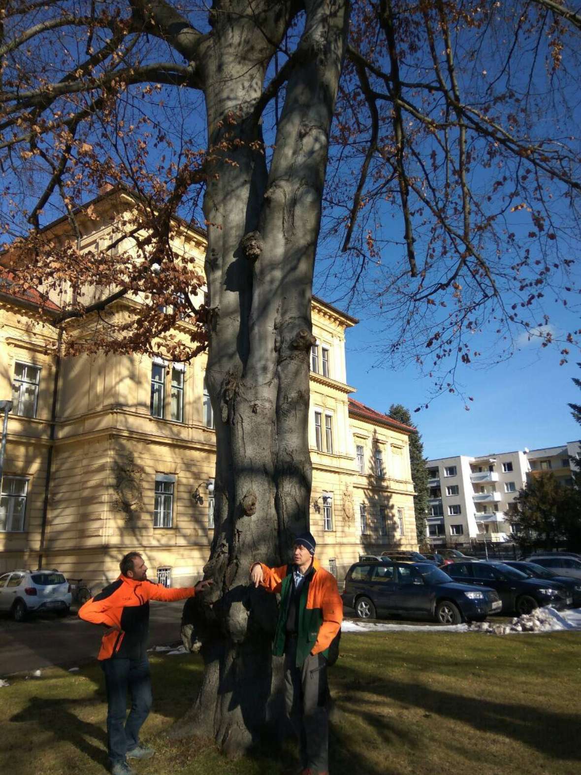 Schüler vor einem Baum im Schulpark