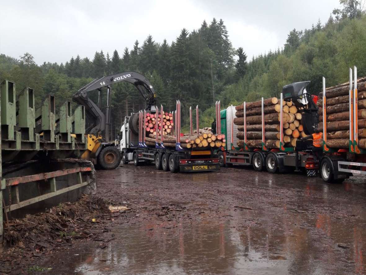 Eine Holzentladestelle mit zwei vollen Lastkraftwagen